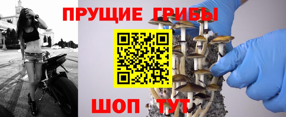 Псилоцибиновые грибы Magic Shrooms  Вход с VPN  купить закладку  Коркино 